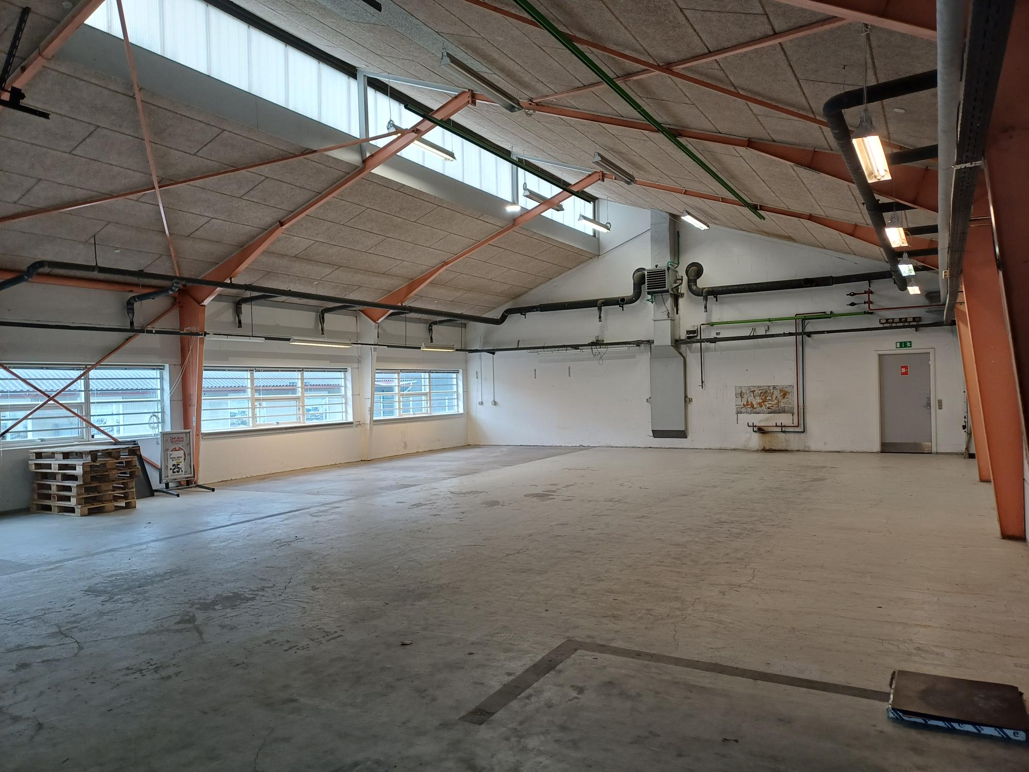 Lagerhal med stor ledhejseport — Finlandsgade 29 – A, Haslev